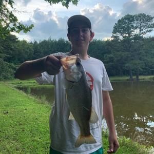 Meet your Posher, Warren